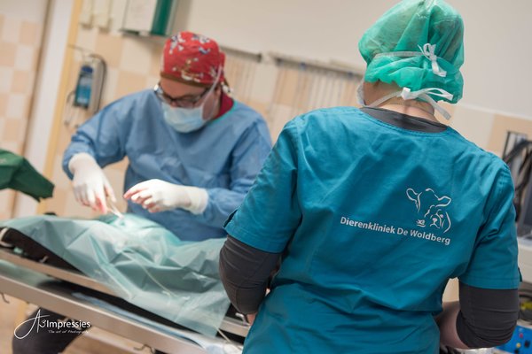 WEB-DeWoldberg-27nov2017-operatiekamer-A3impressies-1331-2.jpg 