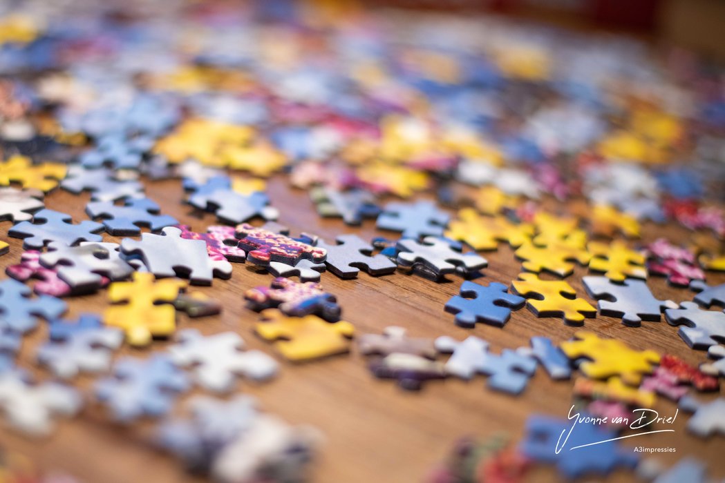 Koeienpuzzel-YvonnevanDriel-8507065.jpg