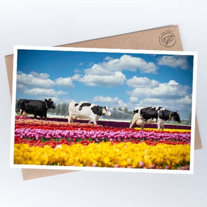 ©YvonnevanDriel-bloemige-koeien-tulpenkoeien1-vierkant-st.jpg