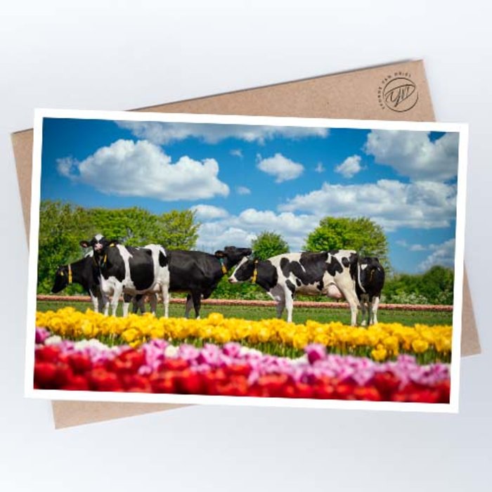 ©YvonnevanDriel-bloemige-koeien-tulpenkoeien2-vierkant-st.jpg