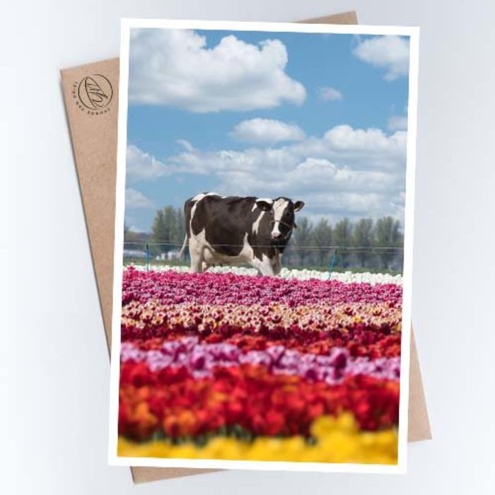 ©YvonnevanDriel-bloemige-koeien-tulpenkoeien3-vierkant-st.jpg