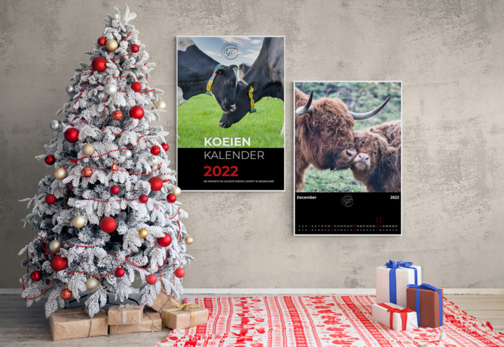 YvonnevanDriel-koeienkalender-White_Christmas_tree_in_rustic_living_room (1).jpg