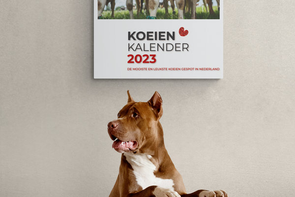 Dé nieuwe Koeien Foto Kalender 2023