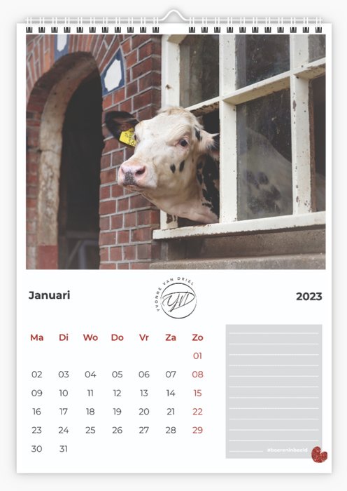 A3Impressies-YvonnevanDriel-Koeienkalender 2022-10-17 om 12.01.58.jpeg